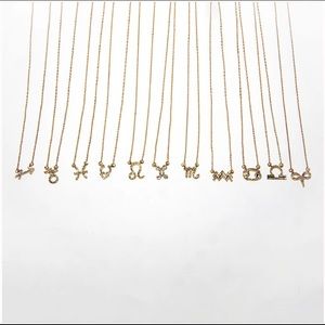 Zodiac necklaces✨